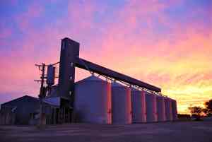 Dookie wheat silos