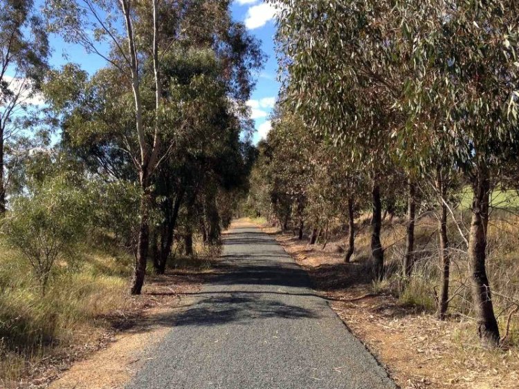 If you aren't surrounded by paddocks, you will be surrounded by gumtrees. 
