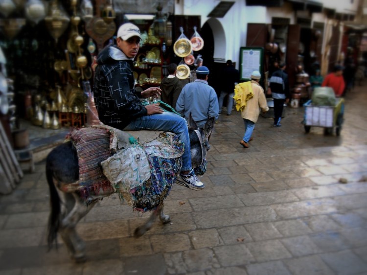 Fez donkey (Photo: Amy Feldtmann)