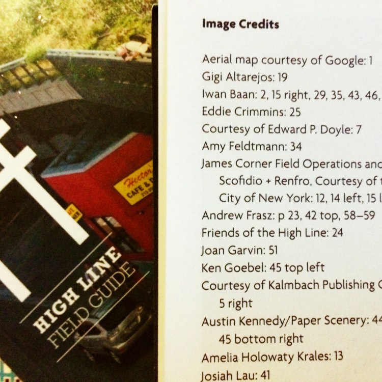 Pride of place on page 34 (Photo: Amy Feldtmann)