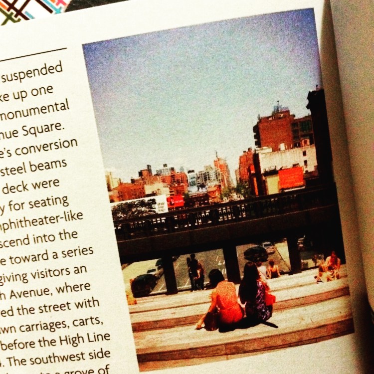The photo I took, on page 34, in The High Line Field Guide (Photo: Amy Feldtmann)