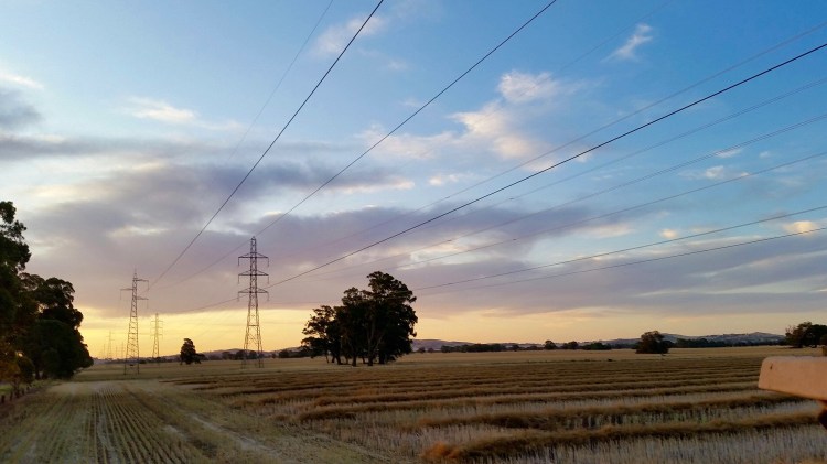 Stewarton, Victoria, 24 November 2015