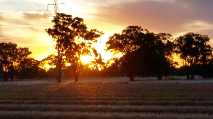 Stewarton, Victoria, 24 November 2015