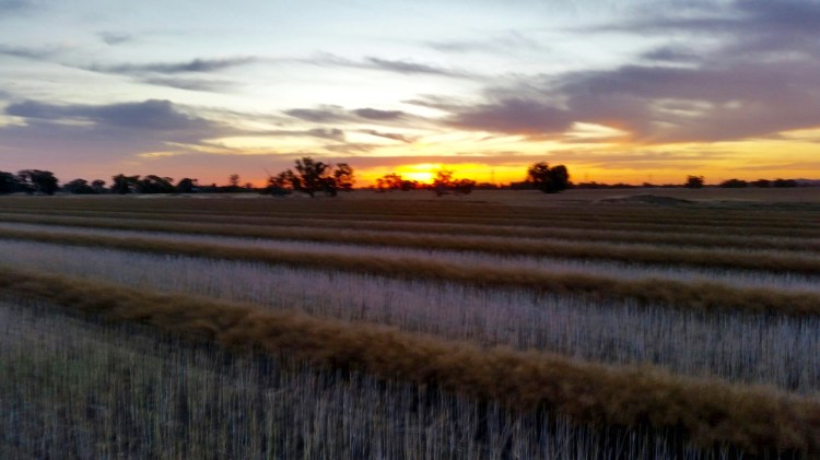 Stewarton, Victoria, 24 November 2015