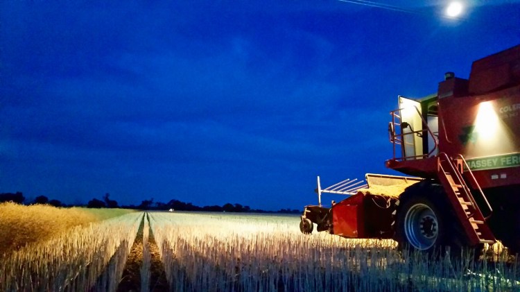 Stewarton, Victoria, 24 November 2015