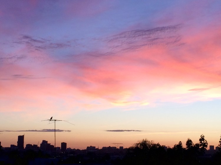 Melbourne sunset, view from Hawthorn, 8 November 2015