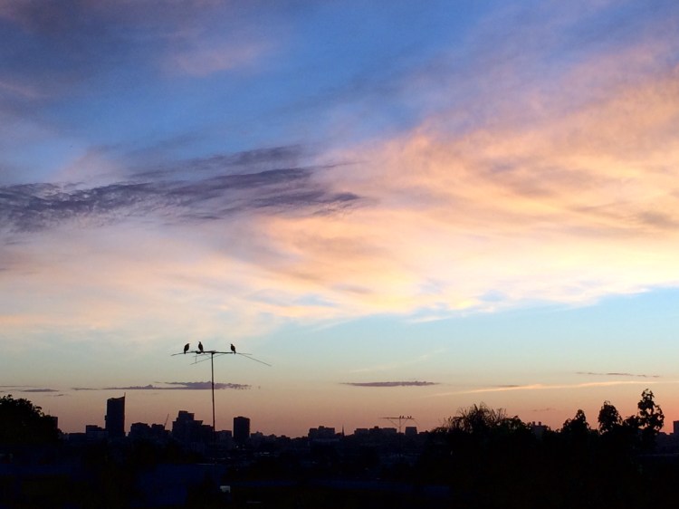 Melbourne sunset, view from Hawthorn, 8 November 2015