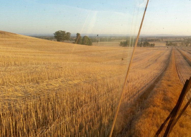 Major Plains, Victoria, 21 November 2015