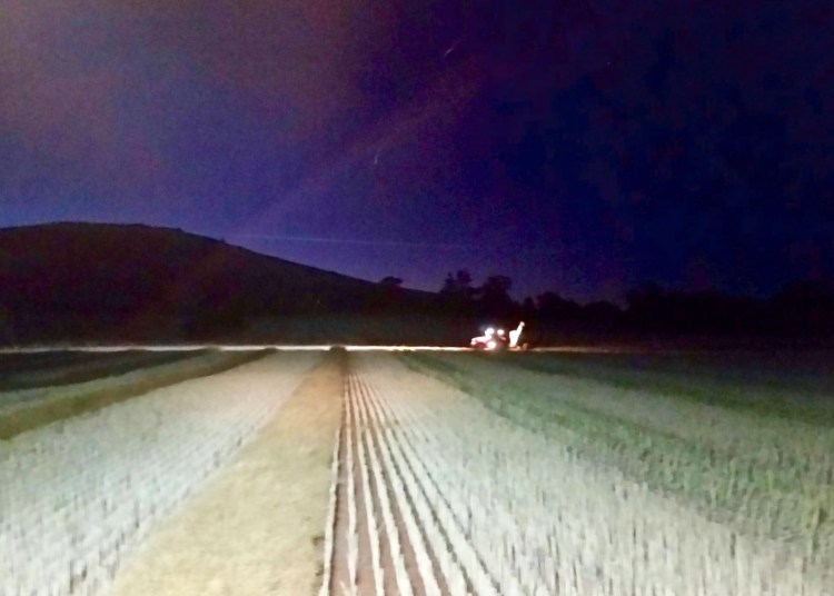 Paddock traffic, tractor lights; Major Plains, Victoria, 22 November 2015