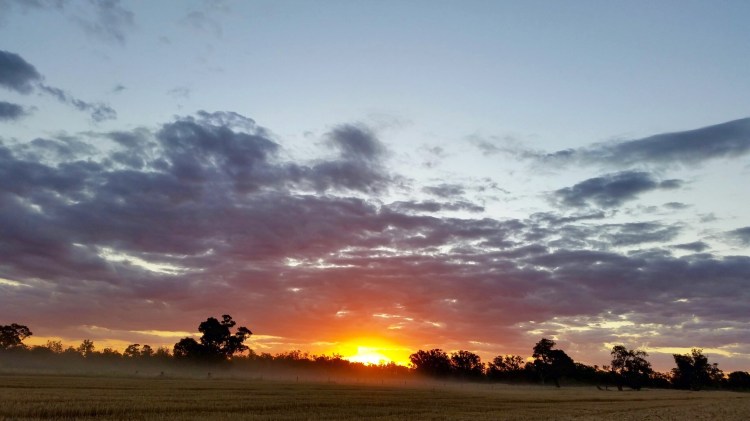 Stewarton, Victoria, 29 November 2015