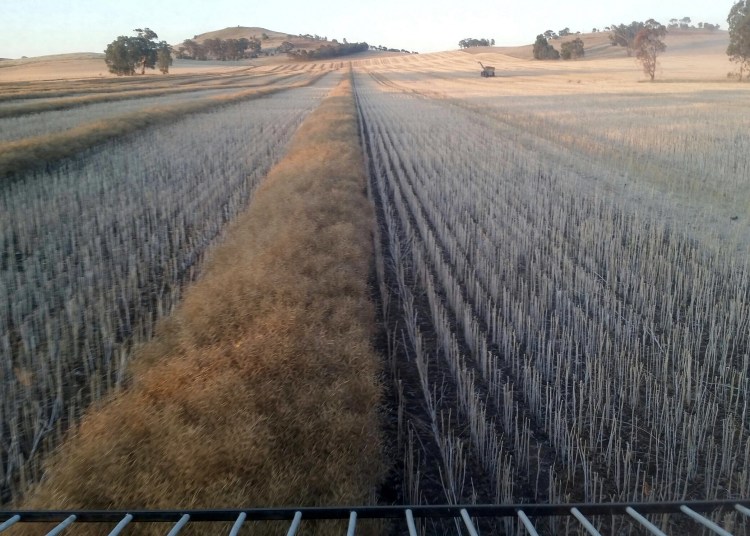 Major Plains, Victoria, 21 November 2015