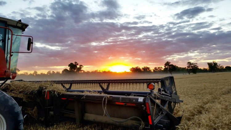 Stewarton, Victoria, 29 November 2015