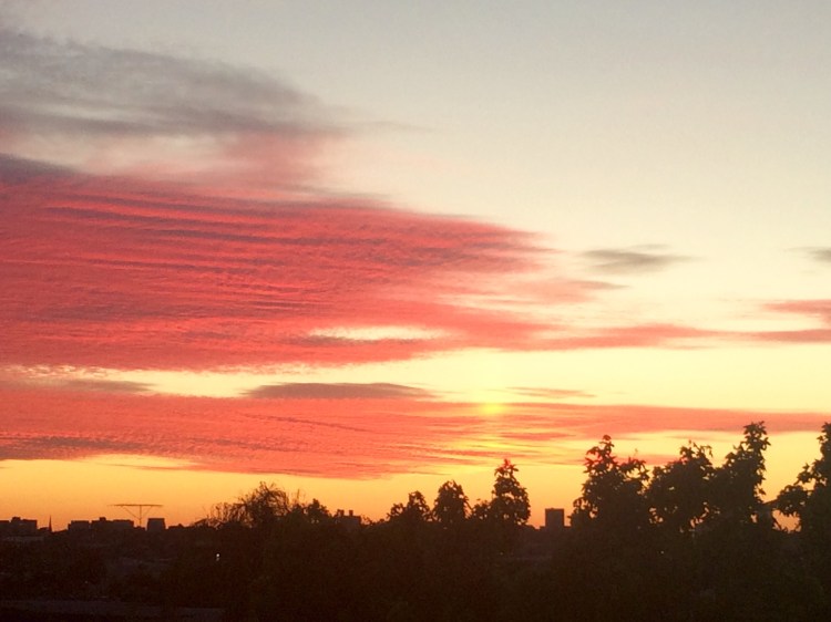 Pink pink pink. Melbourne sunset, view from Hawthorn, 17 November 2015