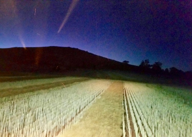 Major Plains, Victoria, 22 November 2015