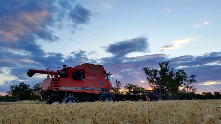 Stewarton, Victoria, 29 November 2015