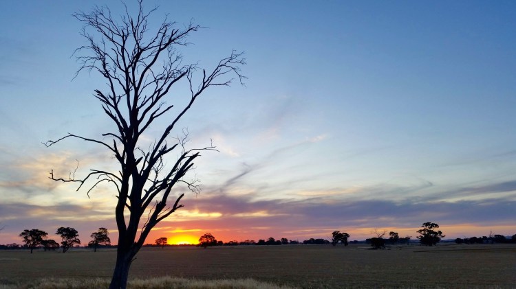 Stewarton, Victoria, 4 December 2015