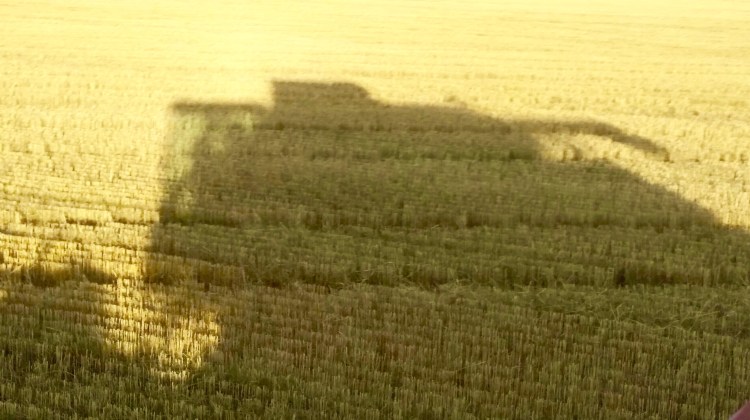 Stewarton, Victoria, 30 November 2015