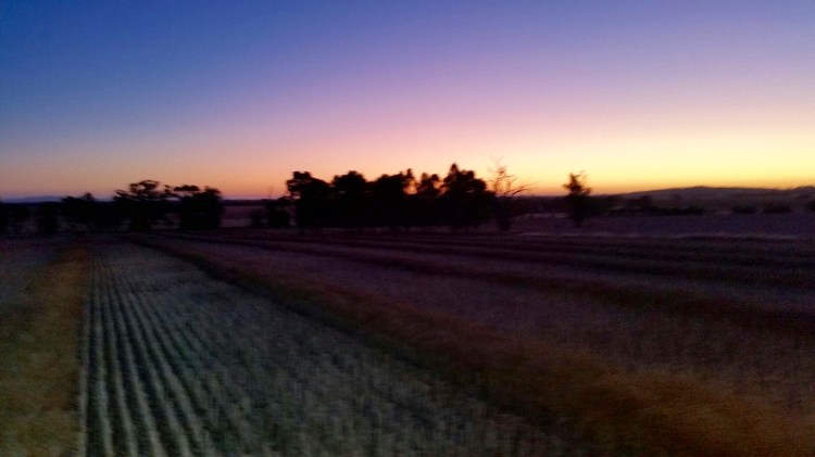 Major Plains, Victoria, 21 November 2015