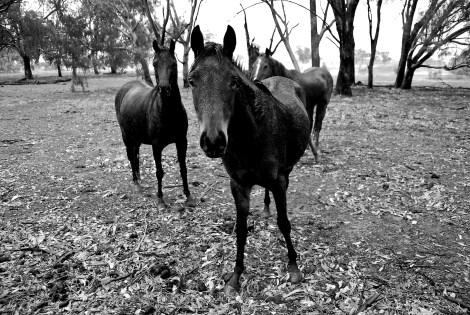 Standin' in the rain, Stewarton
