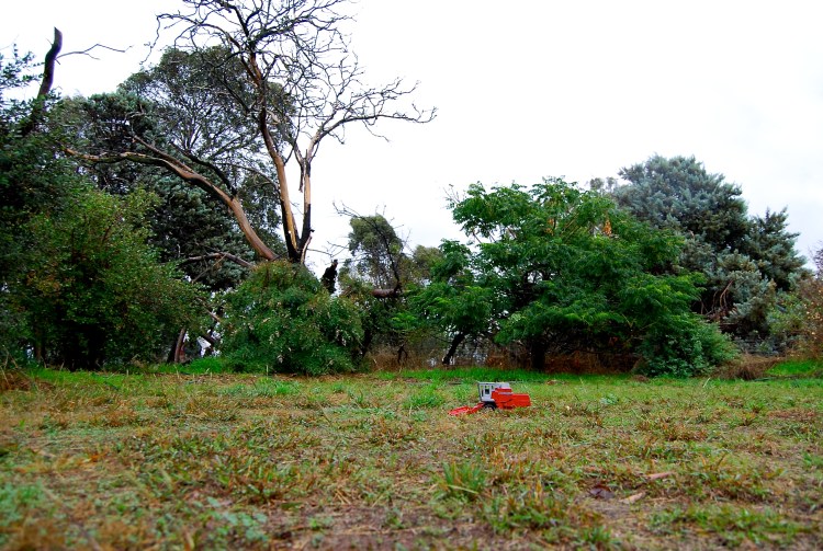 Wet harvest, Stewarton