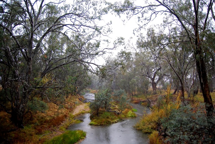 Broken River rain, Nalinga