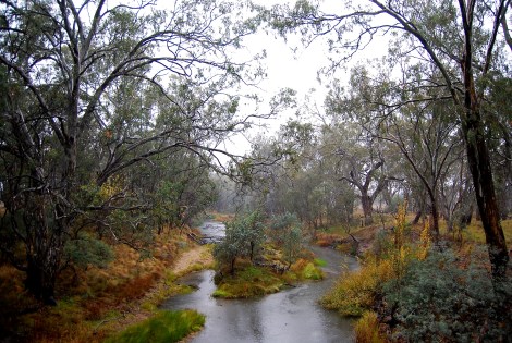 Broken River rain, Nalinga