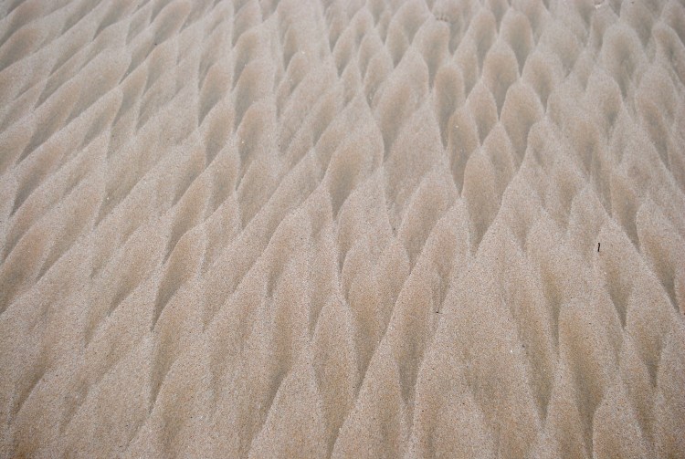 Scales, Point Lonsdale, Victoria 