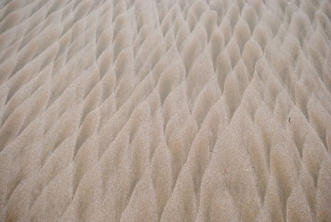 Scales, Point Lonsdale, Victoria 