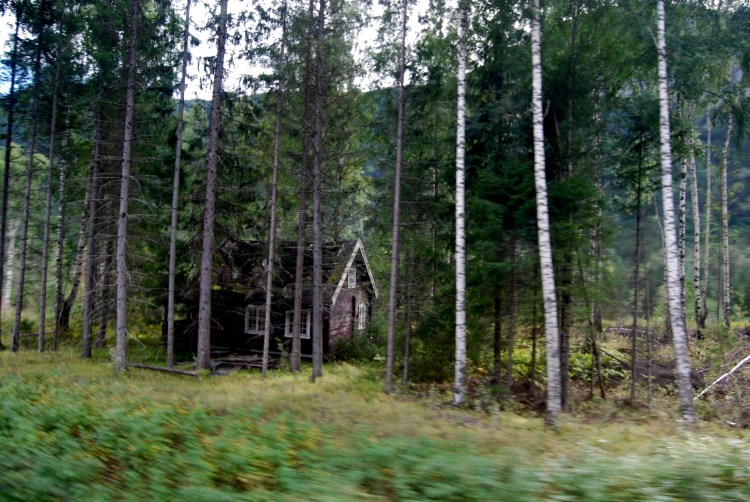 Bergen to Oslo train, Norway