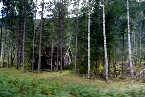 Bergen to Oslo train, Norway