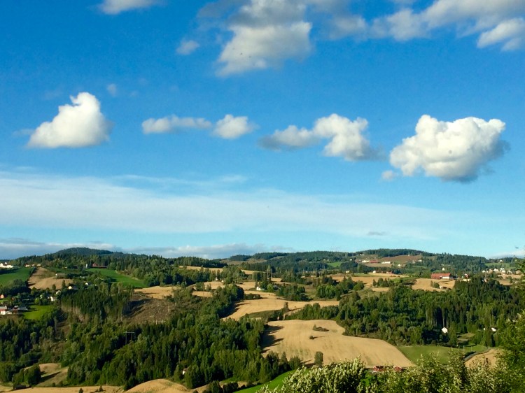 Bergen to Oslo train, Norway