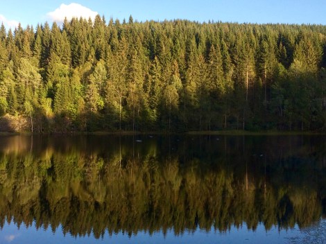 Bergen to Oslo train, Norway