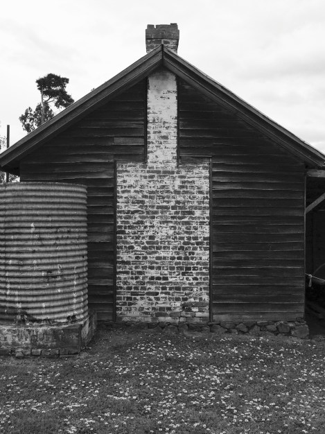 Woolmers, Longford, Tasmania, Australia. By Amy Feldtmann. 