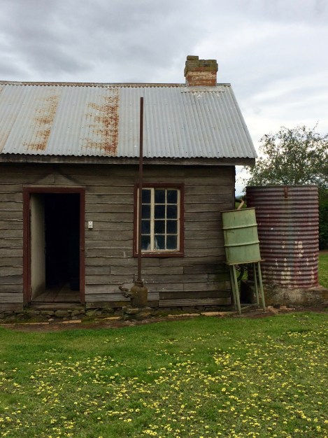 Woolmers, Longford, Tasmania, Australia. By Amy Feldtmann. 