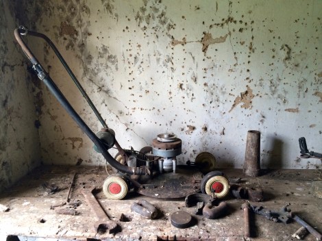 Woolmers, Longford, Tasmania, Australia. By Amy Feldtmann. 