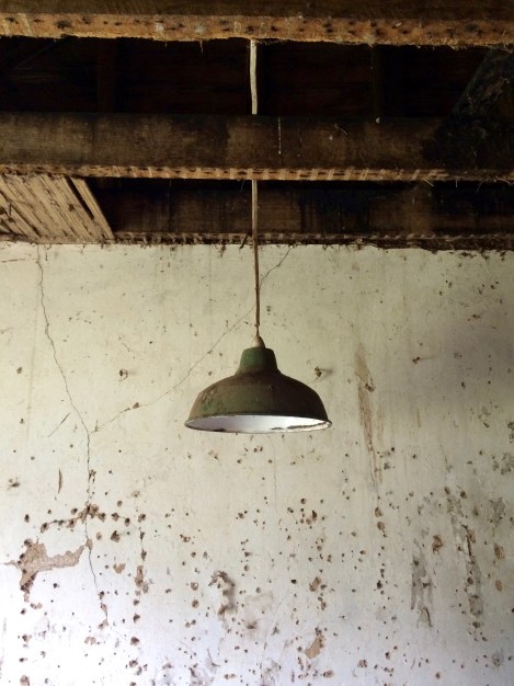 Woolmers, Longford, Tasmania, Australia. By Amy Feldtmann. 