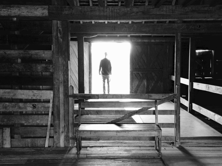 In to the light. Woolmers, Longford, Tasmania, Australia. By Amy Feldtmann. 