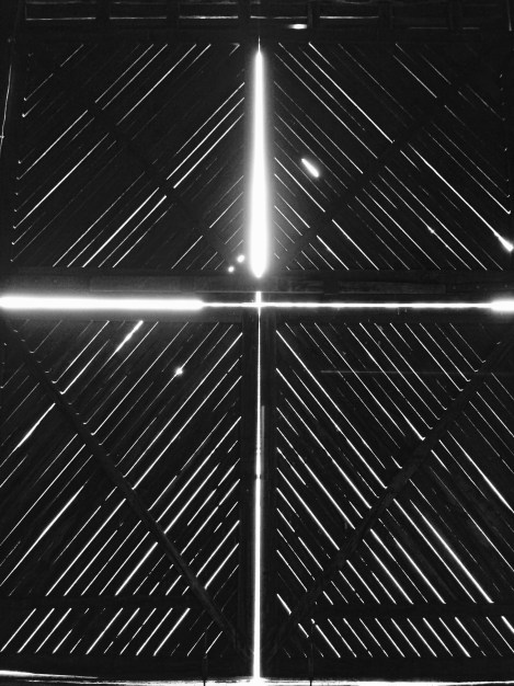 Brickendon, Longford, Tasmania, Australia. By Amy Feldtmann. 