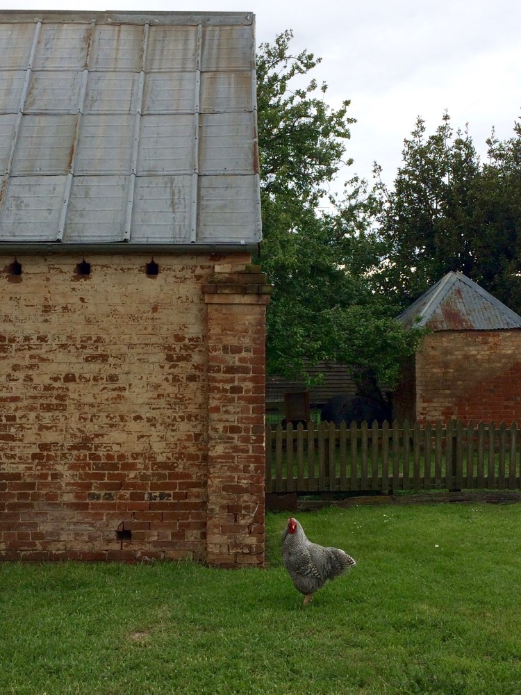 Brickendon, Longford, Tasmania, Australia. By Amy Feldtmann. 
