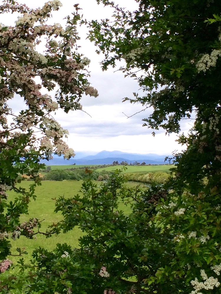 Brickendon, Longford, Tasmania, Australia. By Amy Feldtmann. 