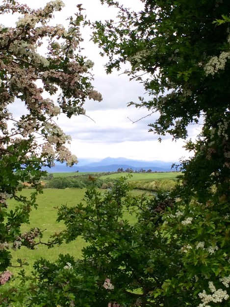 Brickendon, Longford, Tasmania, Australia. By Amy Feldtmann. 