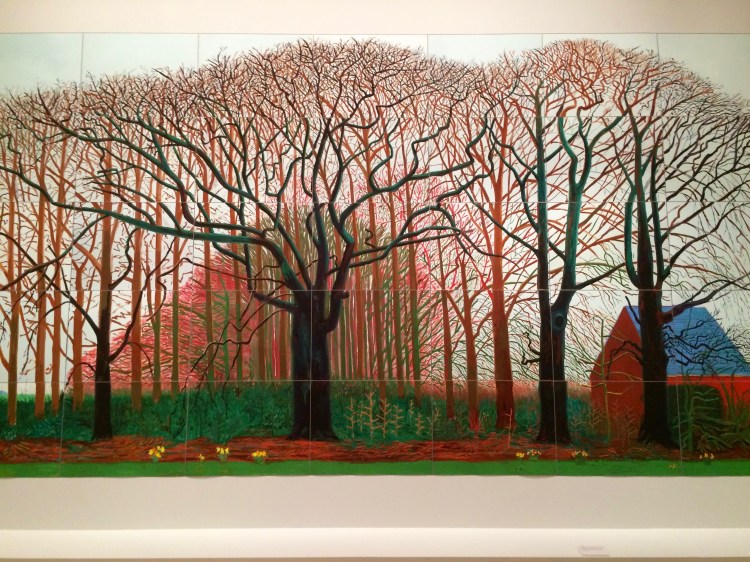 David Hockney 'Current' exhibition at National Gallery of Victoria, Melbourne